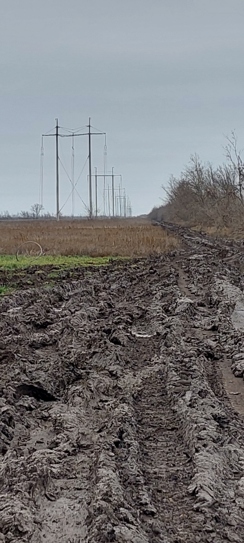 Зображення проєкту